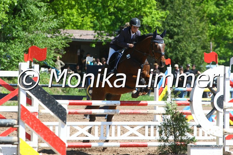 104M8423_Spring L.JPG